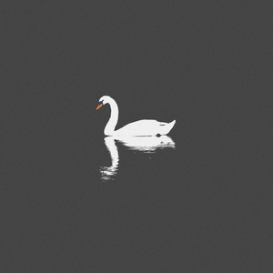 小老头操小逼免费电影观看
